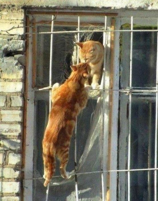 Фотографии сделанные в нужный момент V в нужный момент, поймать кадр, лови момент
