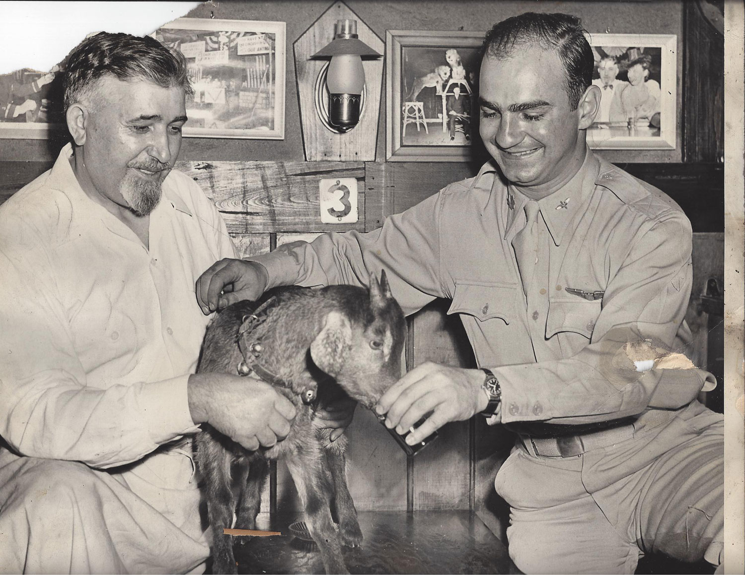 Мистические истории знаменитых проклятий Мистические, истории, знаменитые, проклятия, Тамерлана, 'wb? коза Билли, фараоны