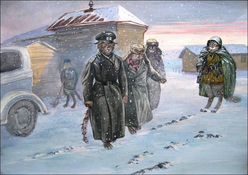 Коты-герои Александра Завалий эпические коты, военные, коты-герои, александр завалий