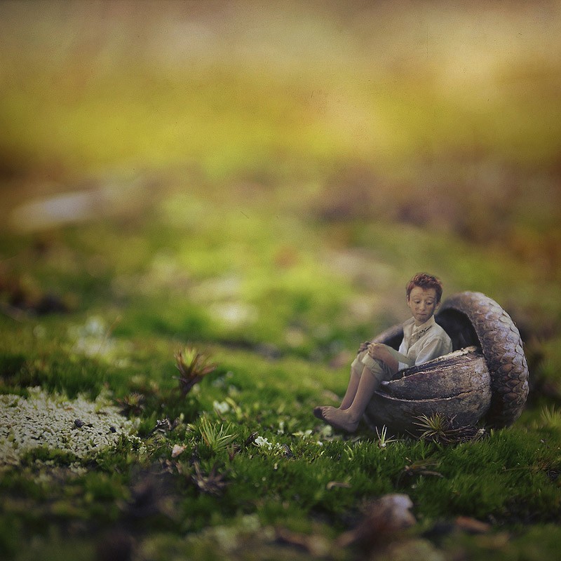 Маленький гений фотографии Зев 14-ти летний фотограф? маленький народ? little folk