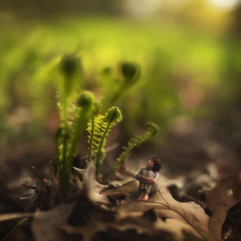 Маленький гений фотографии Зев 14-ти летний фотограф? маленький народ? little folk