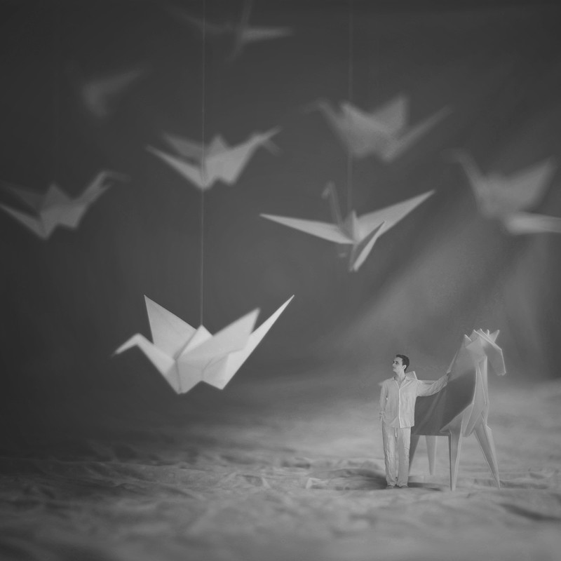 Маленький гений фотографии Зев 14-ти летний фотограф? маленький народ? little folk