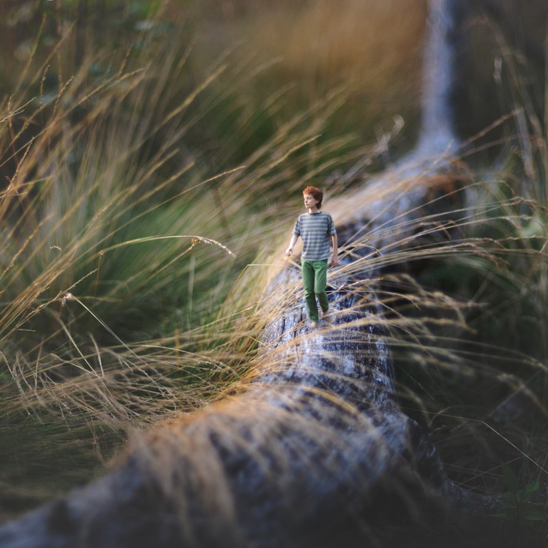 Маленький гений фотографии Зев 14-ти летний фотограф? маленький народ? little folk